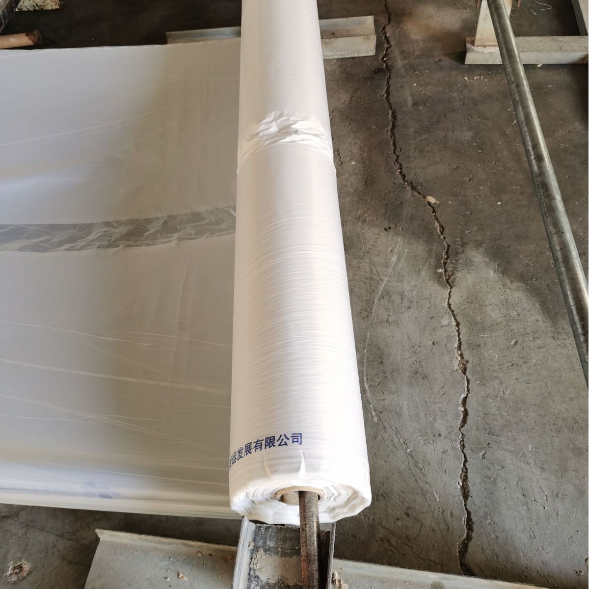 �ɻ���Ĥ����Ĥ����Ĥ����Ĥ