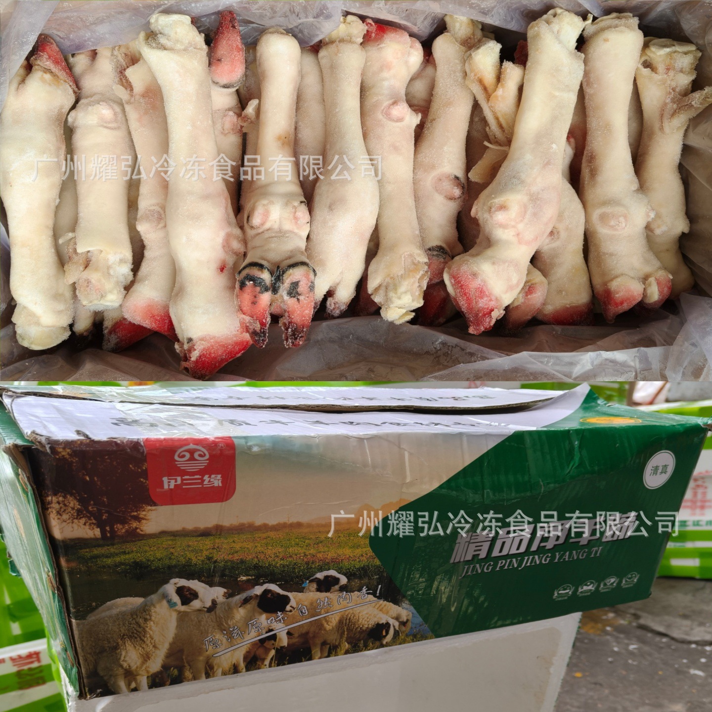 伊兰缘精品净羊蹄9.5kg/箱生羊蹄清真羊蹄酱卤红烧羊小蹄手抓羊腿