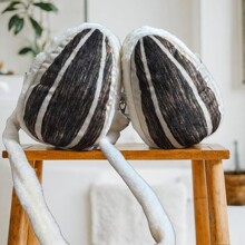 �¿�ɐ�ë�q���͹���б������Ԅ�����ﶬ��ů�r�а���