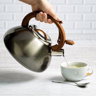 Induction Cooker Gas Stove Universal Amazon Cross-Border E-Commerce Stainless Steel Whistle Kettle