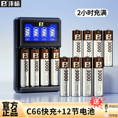 Fengbiao Low Self-Discharge No.: Hibrid akkumulyator batareyaları - 4-slot-fast-charging-12-aa3000-batteries-for-high-power-consumption-only