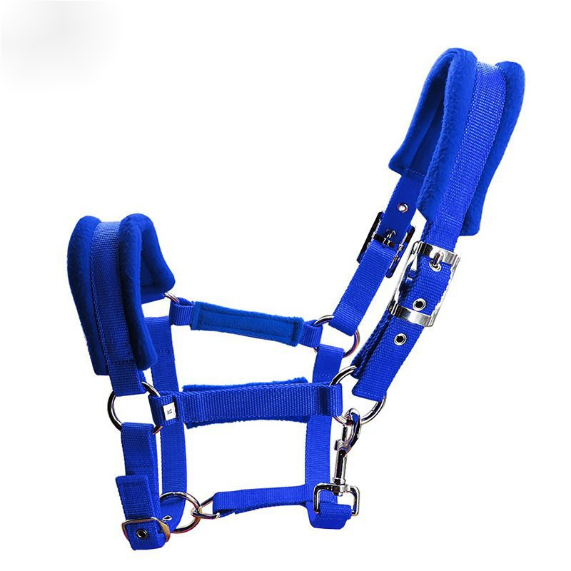 Caja de caballo de longitud mm cabeza de jaula plateada fijación ajustable de metal cabeza de caballo 25 ancho manga de dragón