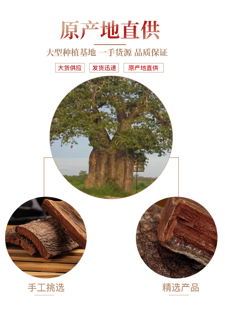 Cabinda Bark Dried Herb 500g Traditional Herbal Infusion Ingredient quality and texture