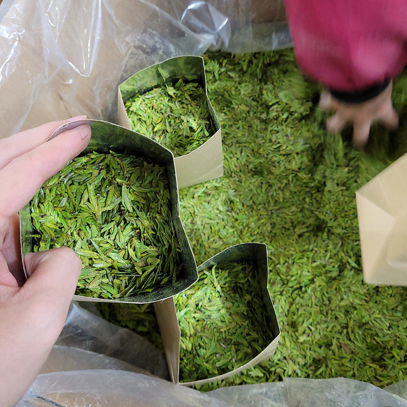 Bulk Green Tea, Longjing Tea after Rain, Dropshipping Area, Various Specifications, Multiple Grades, One-Piece Dropshipping Factory