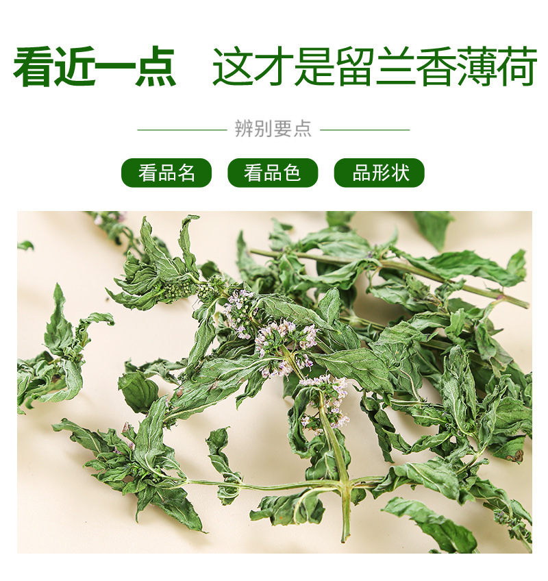 Spearmint Leaf (Mentha spicata) — Anhui Dried Mint Tea for Cold Brew & Daily Infusions quality and texture