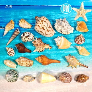 ؐ�����ݺ����ײ��ֹ�diy�����~���쾰�~��ؼľ�з�Q���b