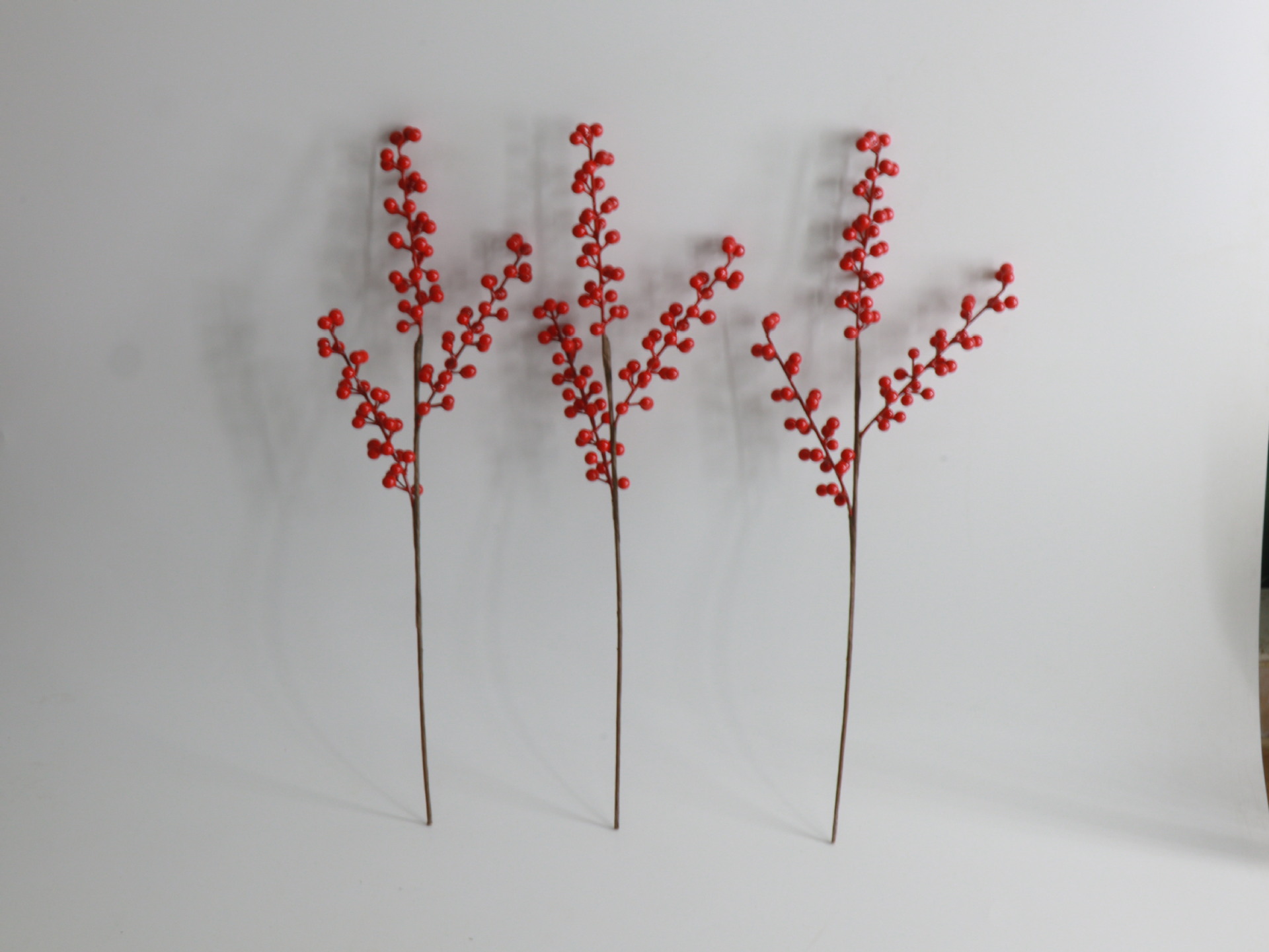 小红果三叉枝 (4).JPG