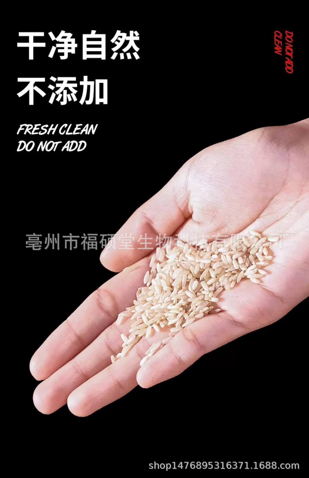 Japonica Rice (Oryza sativa) — Dried Food Grain for Congee & Daily Nourishment quality and texture