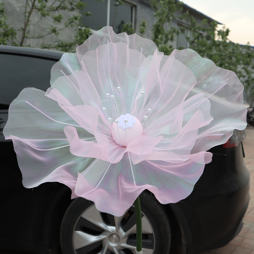공주 분말 꽃 머리 직경 50cm