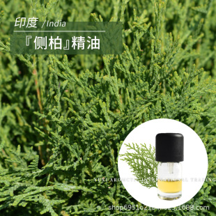 ӡ��ԭ�a���������~���s��ȡ��ůľ�|��1ml�η��Ȱؾ���