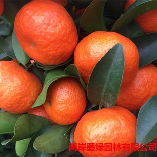 �������lɰ�ǽ��������o��ɰ������ɳ�ǽ��������箔��Y��