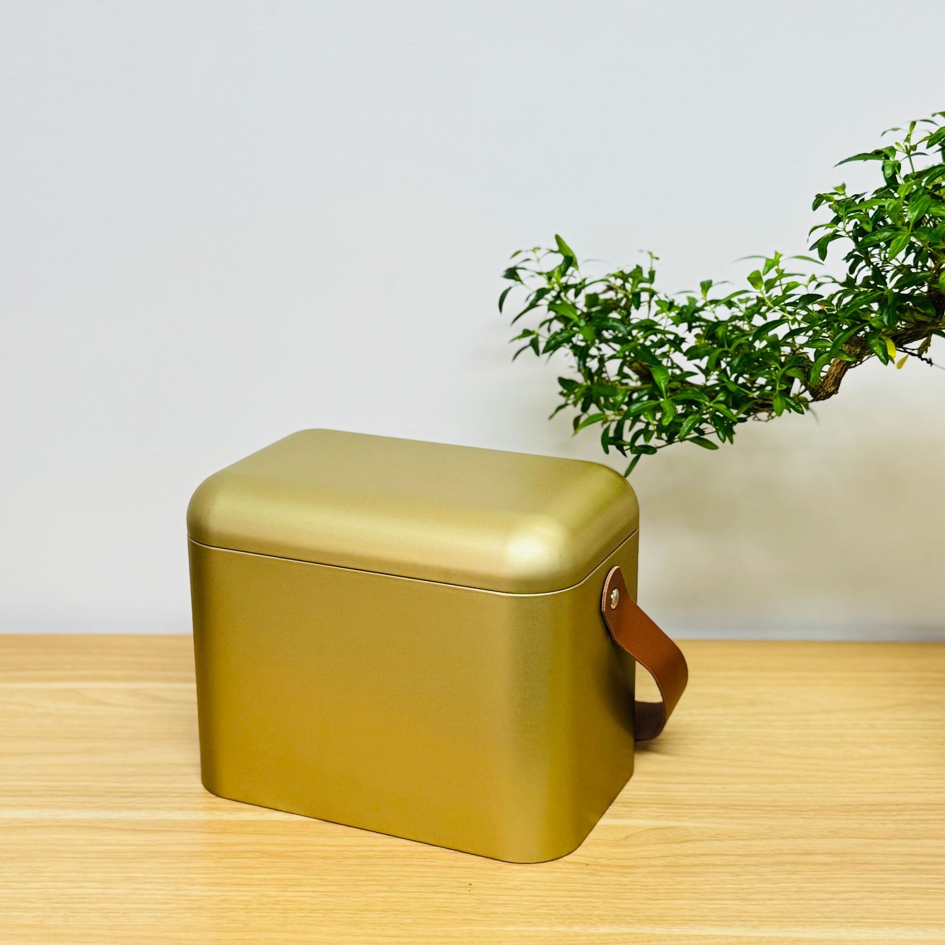 ��������������Ҷ��װ�����ܷ����������ͨ��һ��װ�洢��