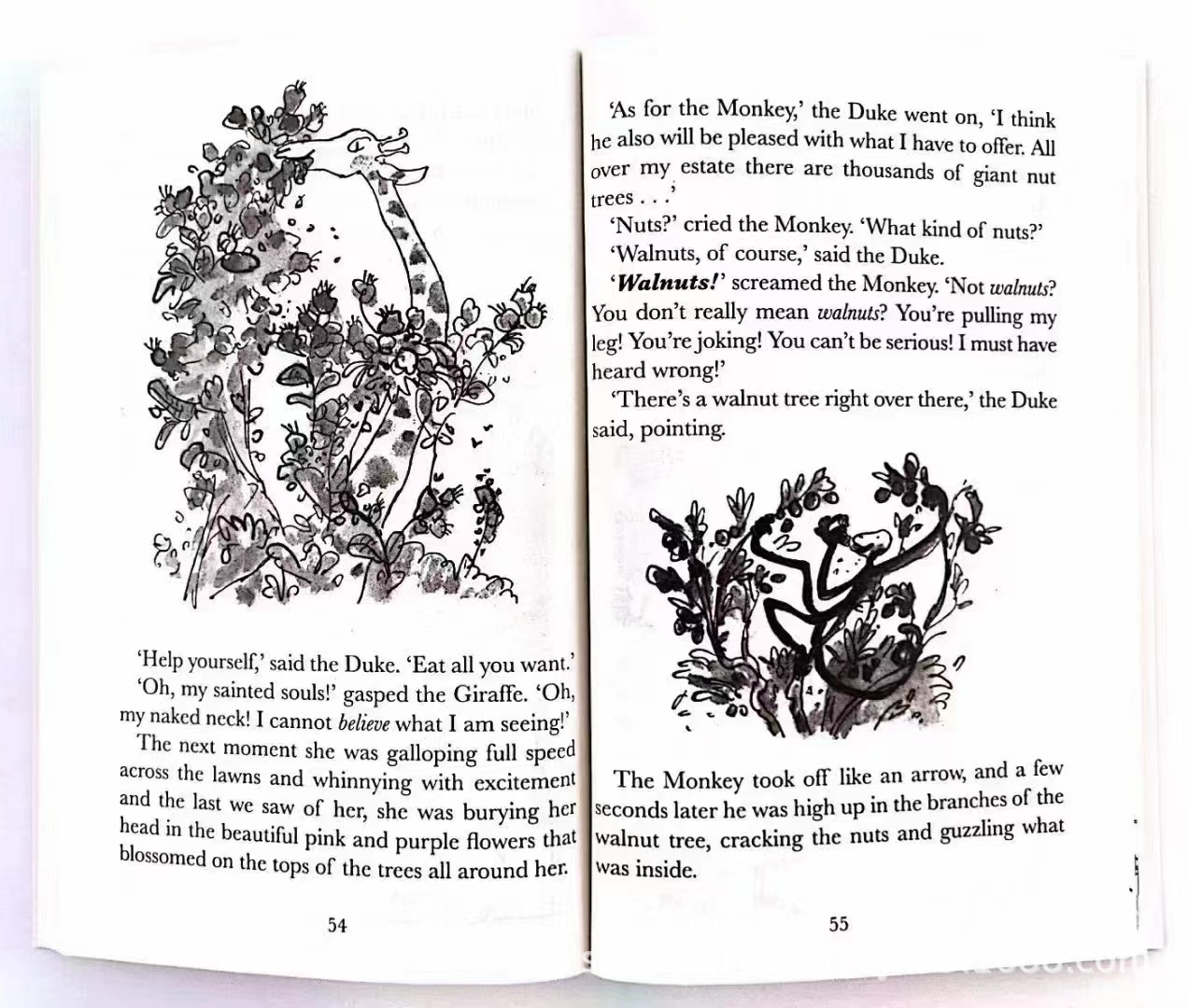 977121d575e02572515e3e4c35a596