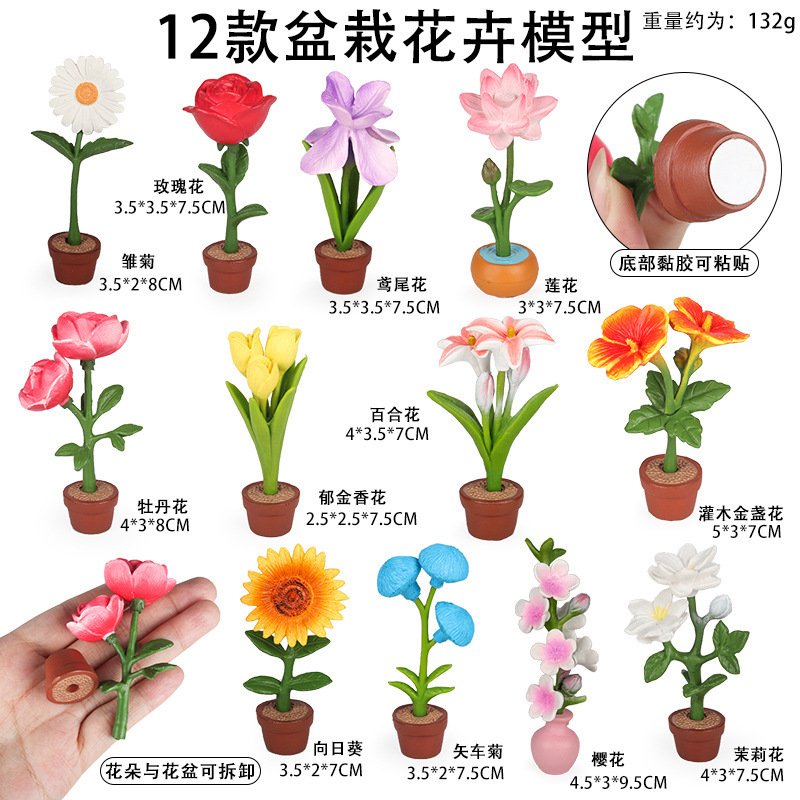 Flores en maceta HSJ (12 juegos)