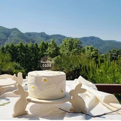 Ins Korean Version Wooden Rabbit Squirrel Cake Picnic Dessert High-Heeled Platter Forest Style Birthday Party Snack Tray