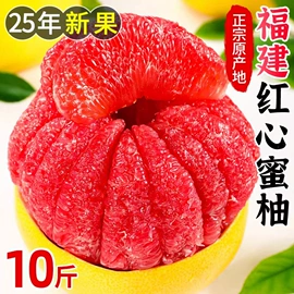 西式糕点;饼干;膨化