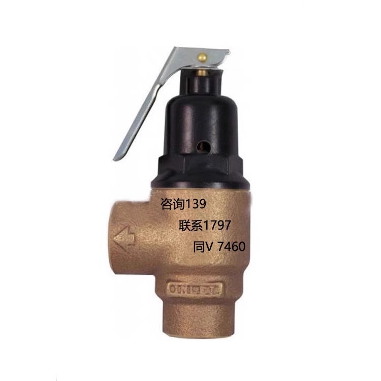 锅炉泄压阀排压阀门泄压阀门美国Cash Acme安全阀F-82安全阀F-81