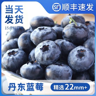 �{ݮ���rˮ�������{÷�r���Fժ��ɽ���w�ЋD������|������S���]