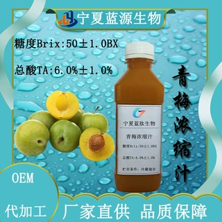 青梅浓缩汁6倍浓缩50BX 厂家直供果酒奶茶果冻果汁原料青梅浓缩汁