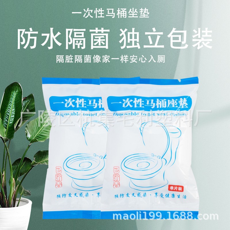 Disposable toilet