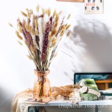 ���N�ɻ�����β��С�JȔ�ɘ�֦�ɻ��bɻ�����