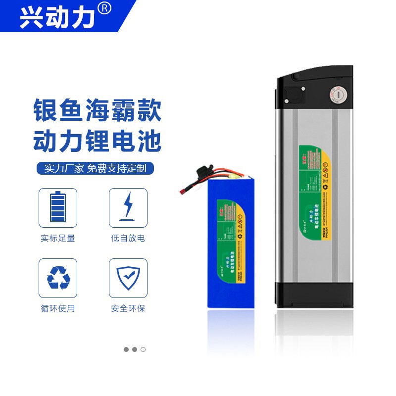 Factory Xing Power Electric Vehicle Battery 48v10ah Ternary 21700 Cell Take-out Car Silver Fish Haiba Lithium Battery Factory Xing Power Electric Vehicle Battery 48v10ah Ternary 21700 Cell Take-out Car Silver Fish Haiba Lithium Battery