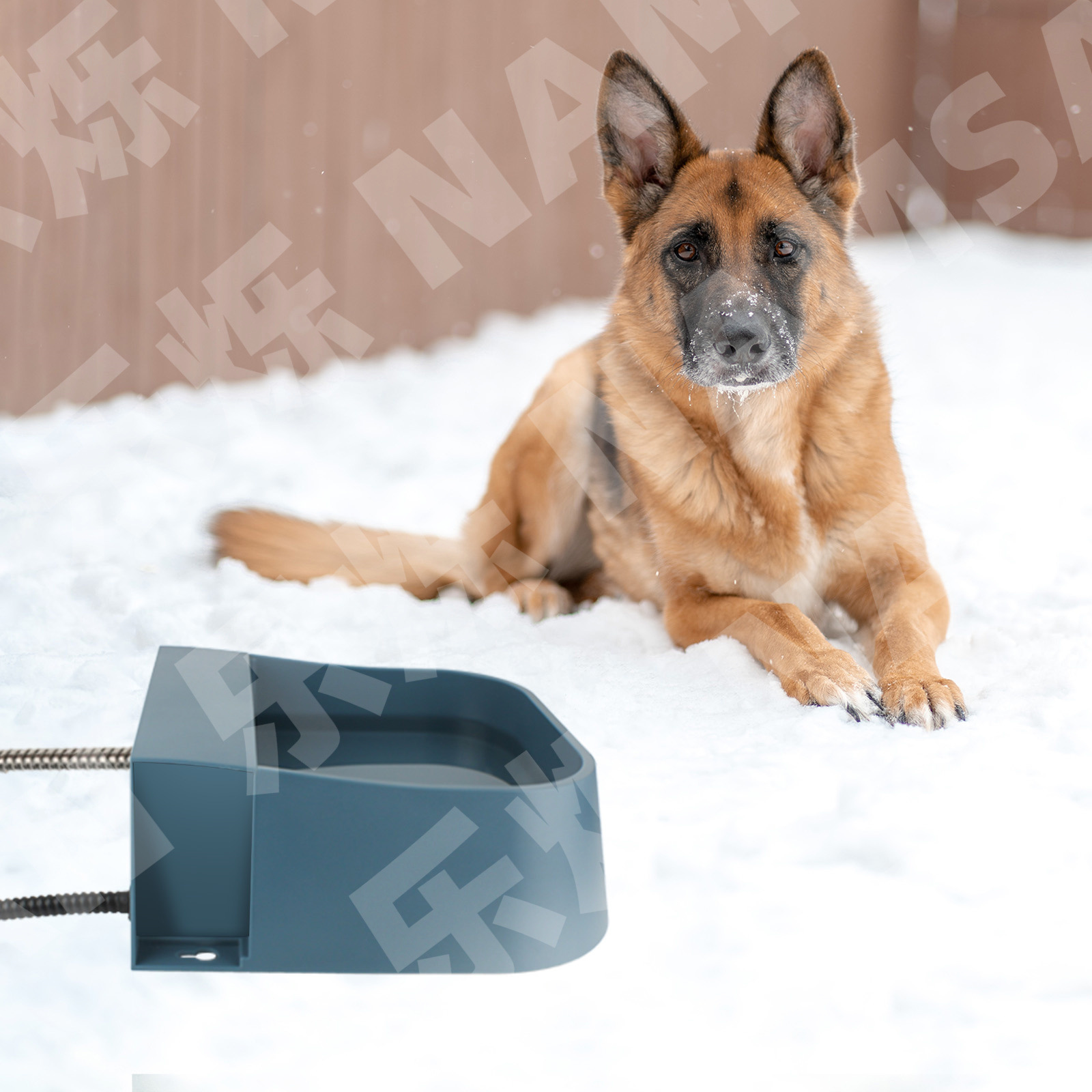 Suministros para mascotas tazón de calefacción almacenamiento automático de agua bola flotante gato y perro tazón de temperatura constante línea anti-mordedura aislamiento tazón de agua bebedor de mascotas