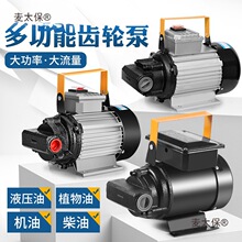 电动抽油泵12V24V220V自吸大功率液压油齿轮柴机油泵加油机麦太保