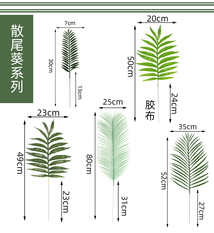 迷你散尾葵