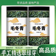 正品云南500克毛冬青茶新茶正宗特级野生毛冬青嫩芽茶泡水养生茶