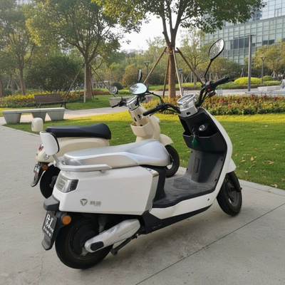 Cover, Electric Vehicle Seat: Motorcycle cushion