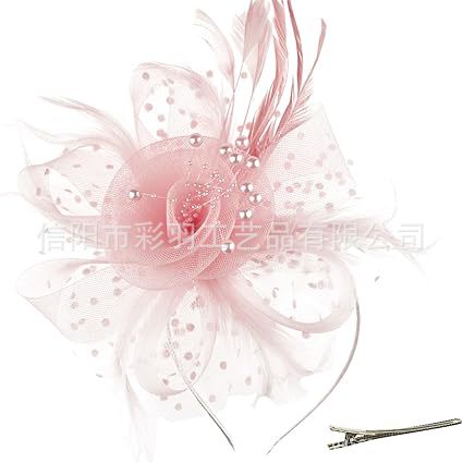 Amazon Feather Headwear European and American Bridal Wedding Hair Accessories Tea Party Horse Racing Festival Retro Mesh Hat for Women