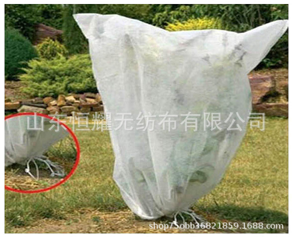 出口专供植物防寒罩防风保温防虫防水布果园膜家纺农用无纺布防护