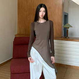 t恤女设计感小众假两件网纱长袖圆领套头斜边中长款修身显瘦上衣