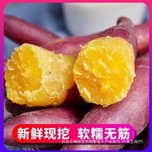 ���؃r�����r����ɳ�ذ��������S�ķ۷����u���S�����t���ع�