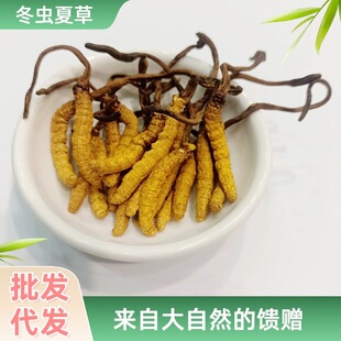 ���|���x�Ĳ��Ĵ����β��偆����x�� �������ߺ����ͶY�ݾ�