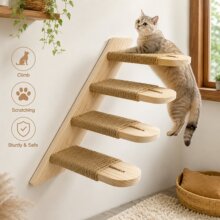 ���R�ddiy���ȫ��؈����ȫ��ľ����ʽռ��С�ͼ���؈����؈�ܘ�
