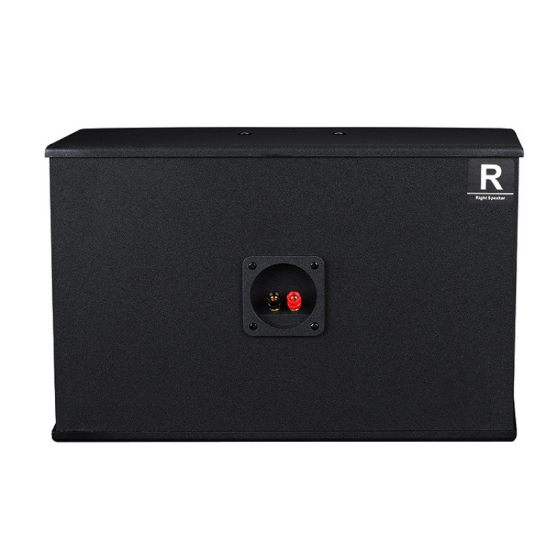 Audio al por mayor de 8 pulgadas 10 pulgadas caja de altavoces sala de conferencias equipos de sonido casero karaoke pasivo caja de altavoces