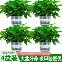 ~G}҃ȿ͏dȩ՚ֲGֲkҾGjl