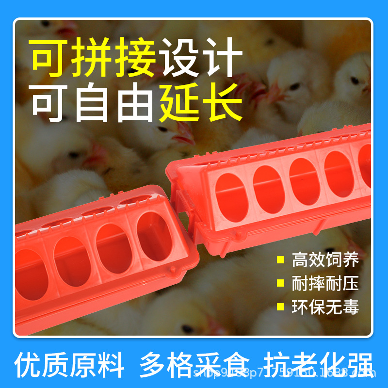 Alimentador de pollo largo comedero dispensador de agua potable de pollo artefacto pato ganso comedero aves de corral cría anti-dispersión costura