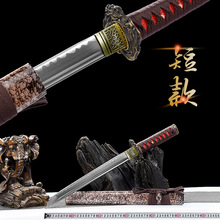 ��Ȫ�ж̿��������Ӱҕcos������ʽ�L����һ�w�����δ�_��