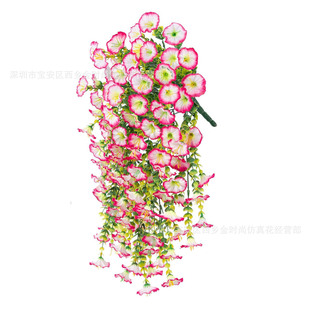 ������滨 45Ŀ�ȼ�����ţ�������Ҿӻ�Y��Y�bڒ��ٗl����