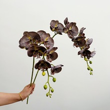 含阳复古EVA仿真8头蝴蝶兰 硅胶棉法式樱花唇碟兰婚庆路引仿真花