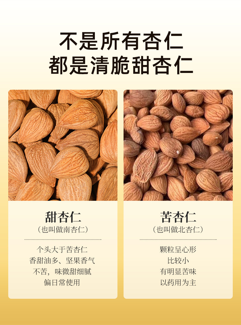 Sweet Almond Kernels 100g Jar Nan Xing Ren Chinese Apricot Kernel for Baking Snacking and Nut Milk quality and texture