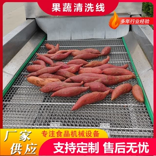 红薯清洗机大姜果蔬高压喷淋清洗机根茎药材清洗机设备山药清洗机