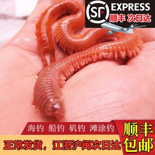 ��S���]��ɳ�Q���D�t�x�~�D�����x����~�D��D�|�~�D��Λ��