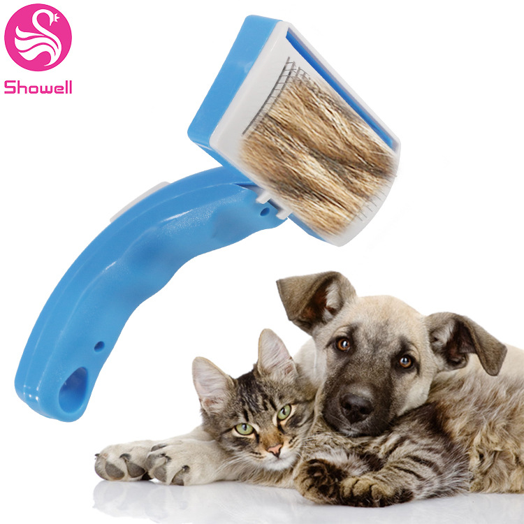 ֶȥëˢˢˢëëëë