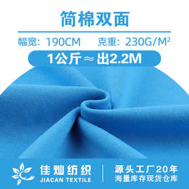 简棉双面面料 230g涤棉双面平纹汗布 春夏轻薄休闲服时装针织布料