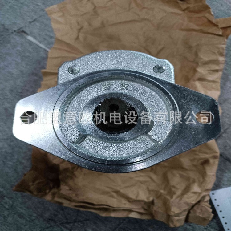 瑞典CONCENTRIC马达，油泵，齿轮泵，WP15A2 1830664