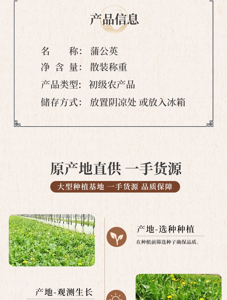 Dandelion Leaf Tea Pu Gong Ying 500g Premium Tender Leaves Sun Dried Loose Herbal Tea quality and texture